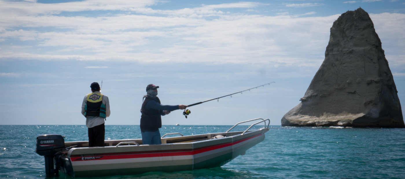 Profile Boats 1410D