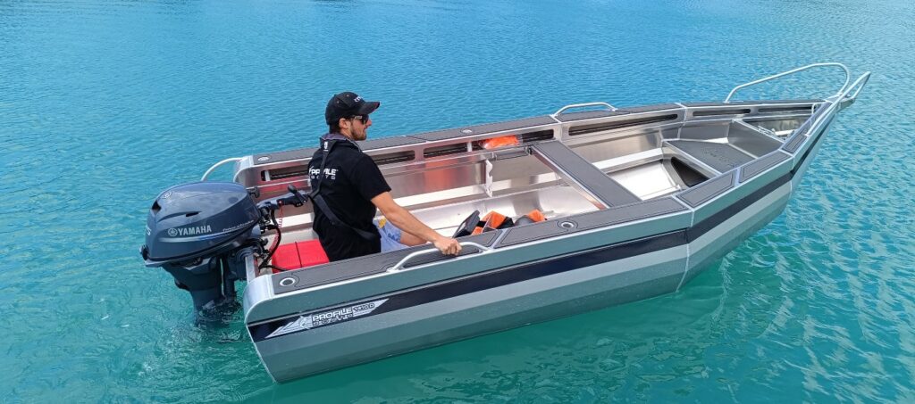 Profile Boats 1410D Dive