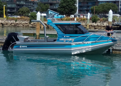 Profile Boats 735H