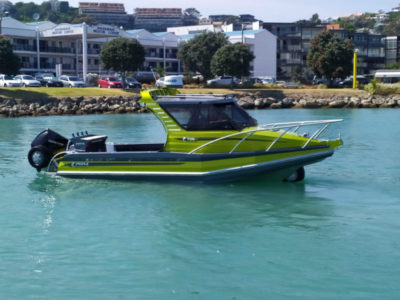 Profile Boats Amphibious