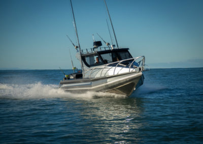 Profile Boats 800HW