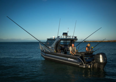 Profile Boats 800HW