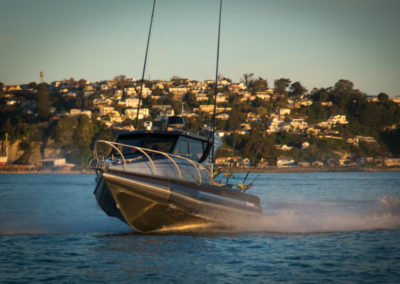Profile Boats 800HW