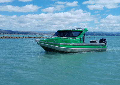 Profile Boats 800HW